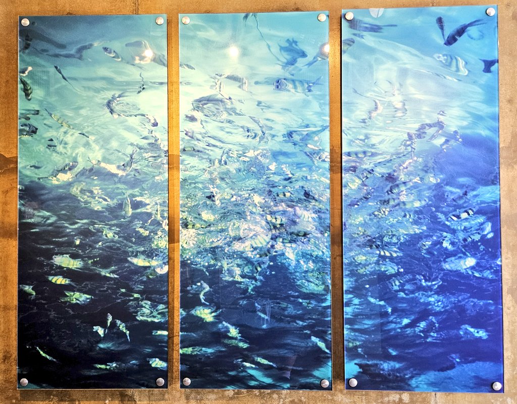 Well, it seems I haven't been on here in a while. Sorry about that. Life and work have kept me busy, and I haven't been in the best headspace to post. I've done lots of new pieces these last couple of months, so I hope to share them w/ you soon. Enjoy some beautiful 💙 art. 🐻💙