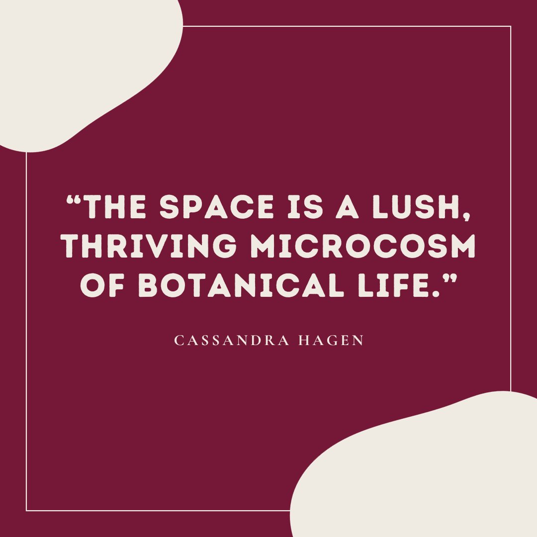 Article Title: The Augsburg Greenhouse is the Heart of Campus Horticulture

"It’s beautiful, filled floor to ceiling with an impressive diversity of plants, from tropical species to delicate flowers."

Read More: augsburgecho.com/2023/11/15/the…
