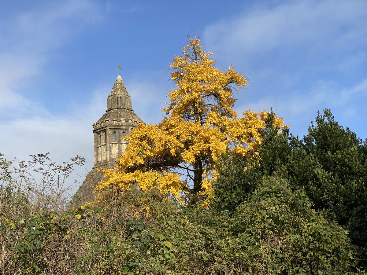 GlastonburyAbbe's tweet photo. We hope you've had a lovely weekend! 

#AutumnVibes #SundayVibes #WeekendVibes #BlueSkies #AbbotsKitchen #GlastonburyAbbey #Glastonbury #Somerset #History #Heritage #DaysOut #KidsGoFree https://t.co/2EbW7O7uka