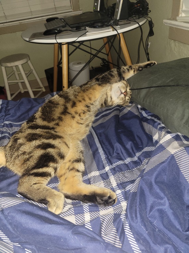 gccocp866's tweet image. 