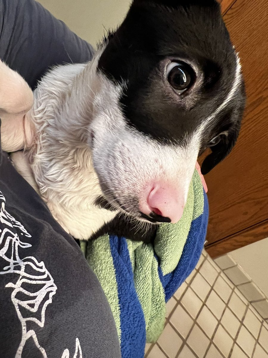 Wtf. Why am I all wet