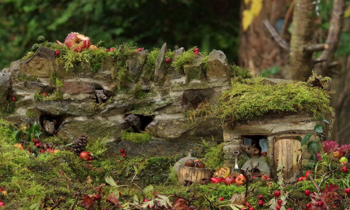#mousevillage #mousetown #mousecity #mouseville #mousegarden #Brambles #berries #cottage #georgethemouse #logpile #woodpile #builtwithlove #thetrueorginal #stonewall #mousewall #rodents