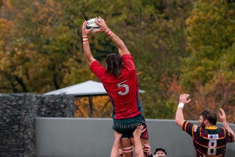 Princeps tweet media