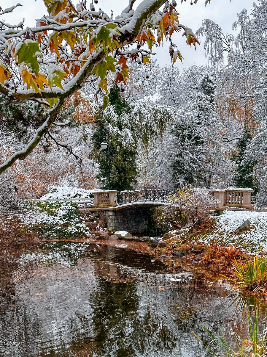 Anjay89006318's tweet photo. Warsaw. Winter fights with autumn. First snow in the Ujazdowski Park.
#winter #firstsnow #warsaw https://t.co/Mk6X6qnvPO