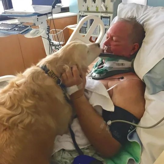 Dog Saves Owner’s Life By Lying On Him For Nearly 24 Hours In Freezing Conditions:  A man who broke his neck outdoors in freezing conditions survived lying in snow for nearly 24 hours thanks to his dog, who kept him warm through the night and barked for help. Anticipating a