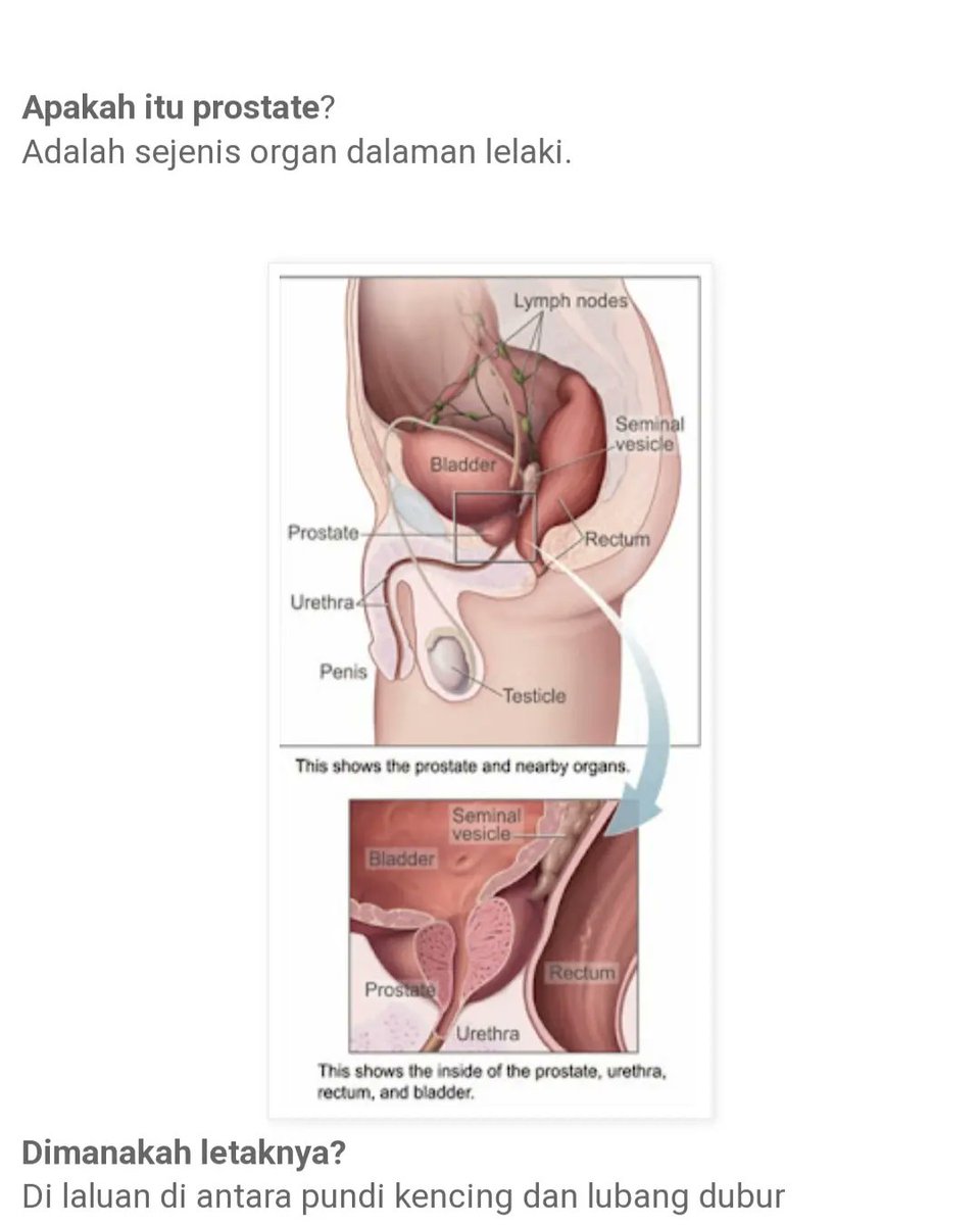 KieroUrut's tweet photo. Urut Prostate.

Whatsapp for details.
0198405171

#urutlelaki #urutbadan #urutbatin #urutprostat
#bodymassage #manhoodmassage #prostatemassage https://t.co/EiVrsk6Ie1