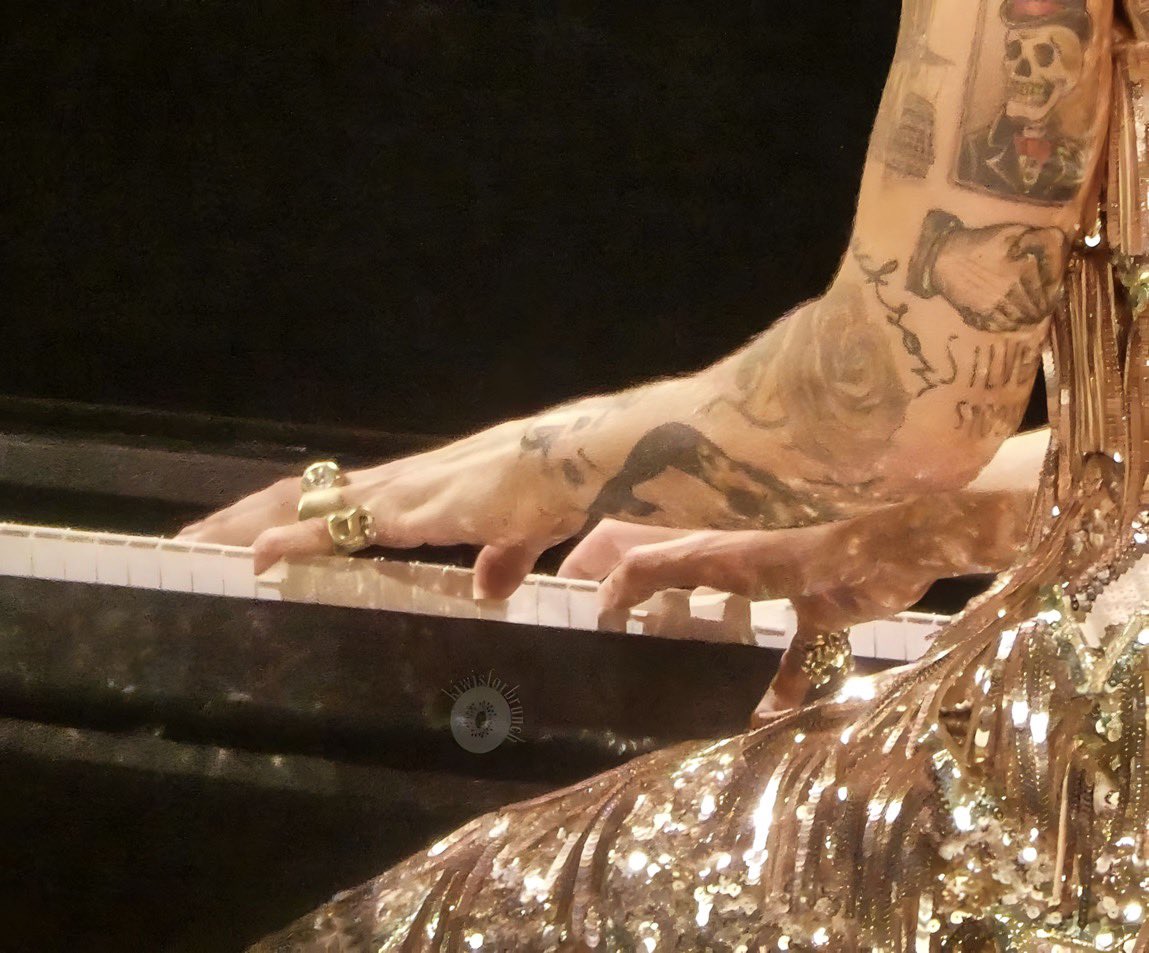 safeharrys's tweet image. your delicate point of view