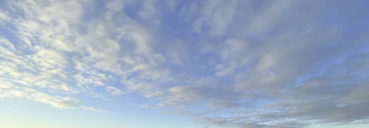 Andreas Wallraff tweet media