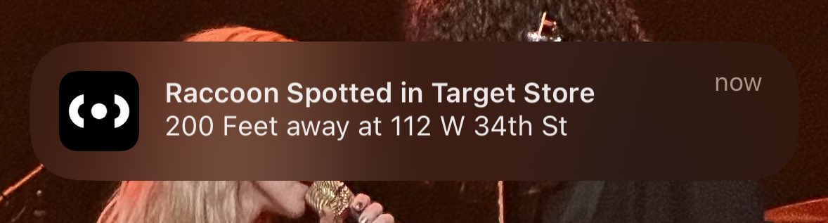 sobiewankenobi's tweet image. just another day at work 😅😅