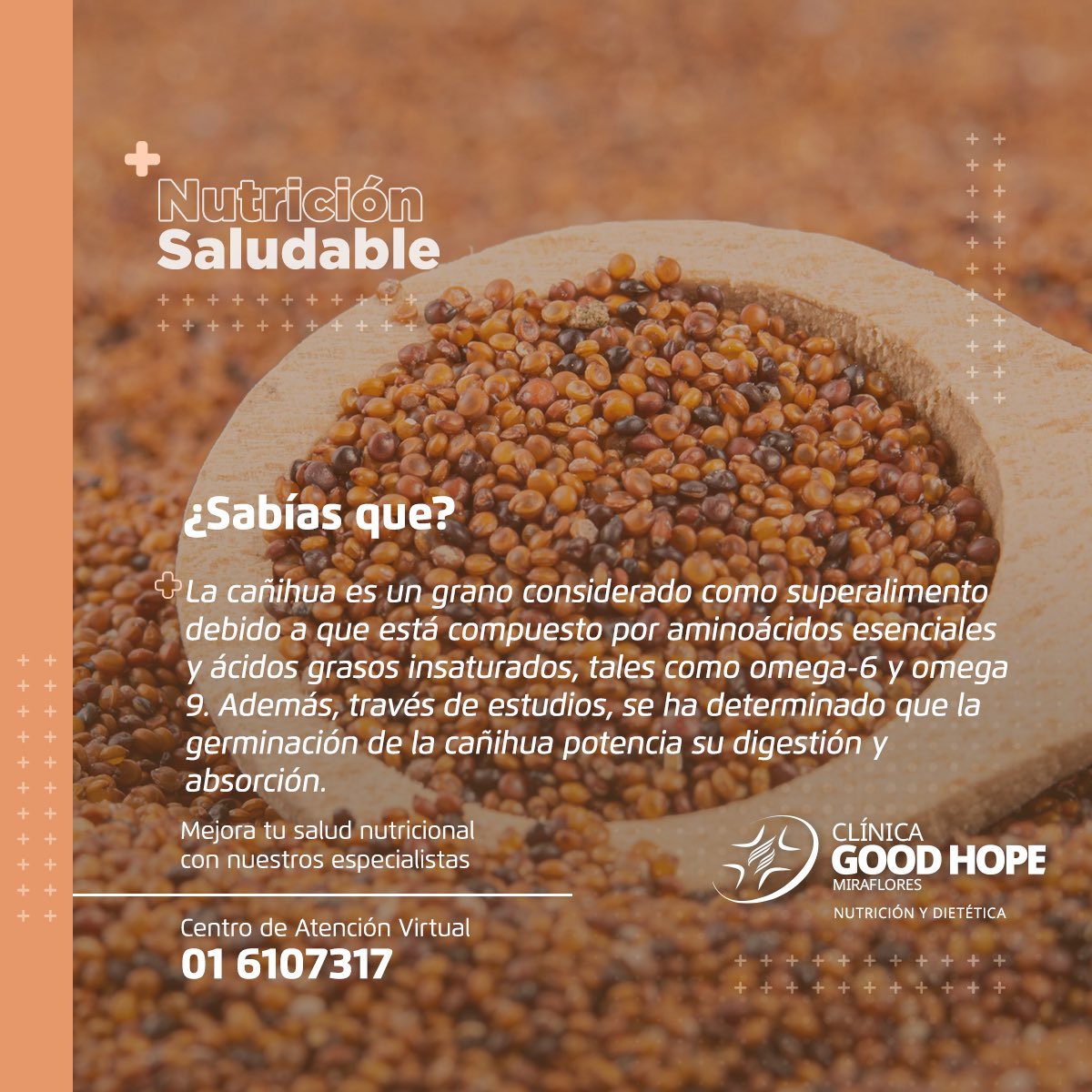 ¡Descubra la cañihua! 🤩Este superalimento andino es rico en proteínas, fibra y antioxidantes. Aporta energía 👍 y es fácil de incorporar en su dieta diaria 🍛

¿Ya la probó? 
#NutricionSaludable #Cañihua #SuperAlimento