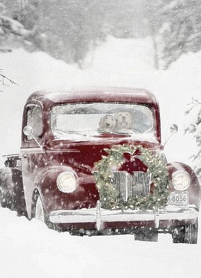 SantaClauseTalk's tweet photo. 🎄Two helpers when looking for the best Christmas Tree #MerryChristmas #RedPickup #Dogs https://t.co/u4sFTKTUcZ