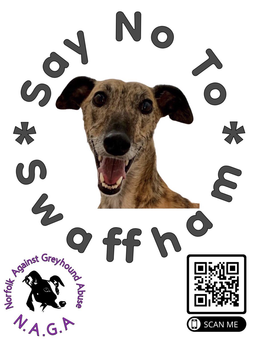 Please sign the petition to stop Swaffham bringing Greyhound Racing Back
#BanGreyhoundRacing       #CutTheChase   #RescuedNotRetired            #YouBetTheyDie