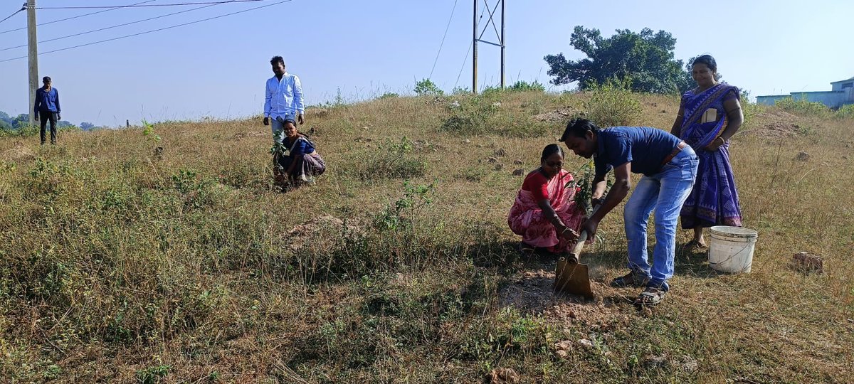 bdo_kutra's tweet photo. #Plantation#
#KATANG GP#
NEAR KALYAN MANDAP https://t.co/xKCsVPzjIL
