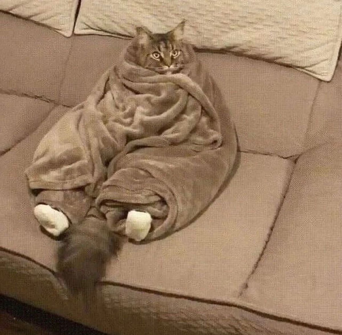randomlyys's tweet photo. Mood https://t.co/5lajFYJ4LH