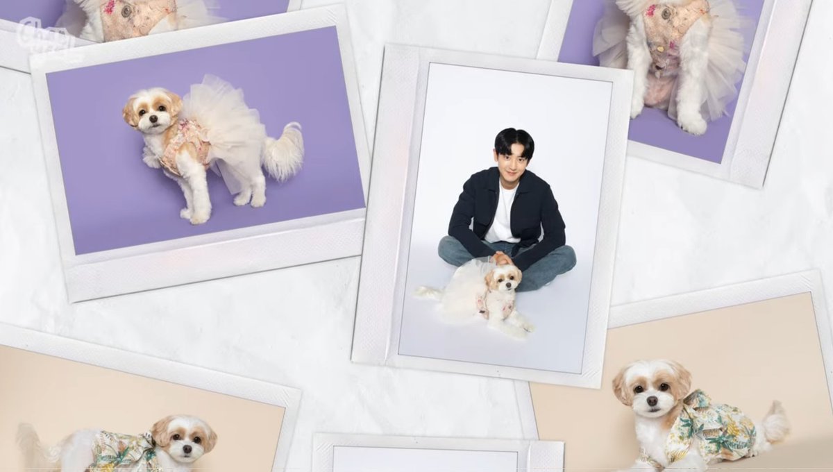 exopetsglobal's tweet photo. 231119 @/CHANYEOLyoutube Youtube Update

Daddy's little girl got her Profile Picture taken for her 3rd birthday~! 

🔗 https://t.co/x3Hbl9HrSR

#ZZAR #CHANYEOL @weareoneEXO https://t.co/KINNBsjBzt