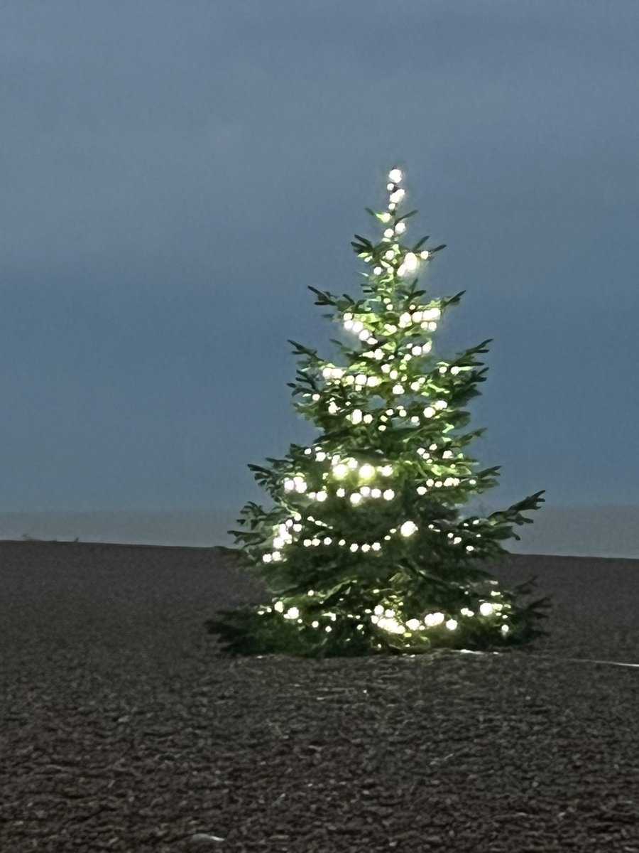 Beautiful Christmas Tree found on our seaside weekend trip