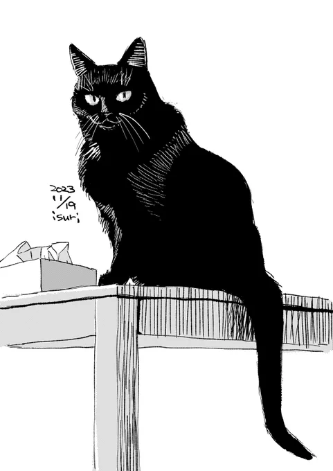 机の上に乗る黒猫 53 #猫 #絵 