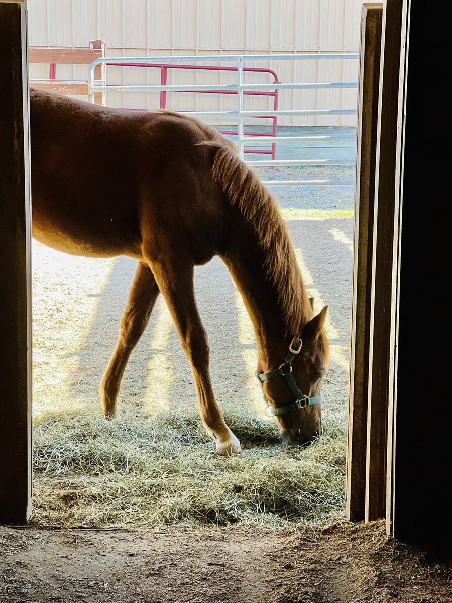 Honey Bunch starting her day ❤️