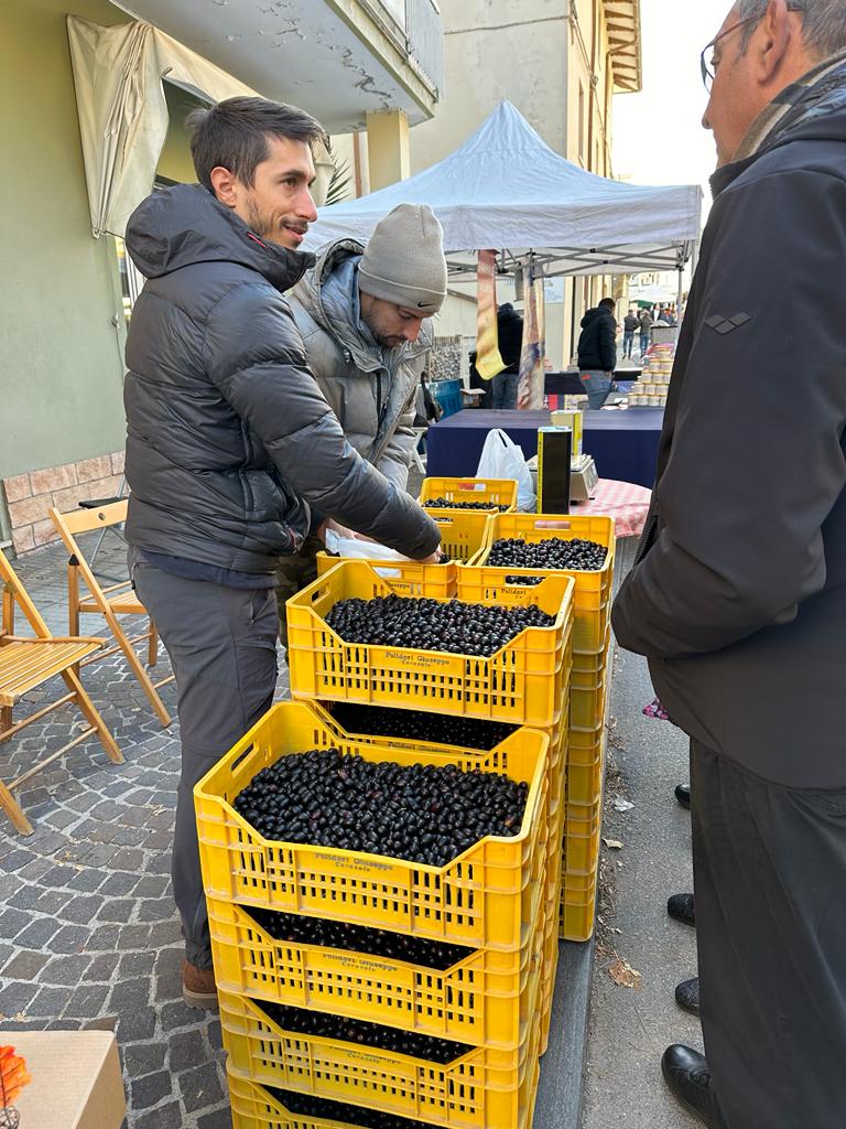 La Fiera dell'oliva e dei prodotti autunnali inaugura oggi a #Coriano con grande partecipazione e il patrocinio del Ministero dell'Agricoltura,della Sovranità  e delle Politiche Forestali.