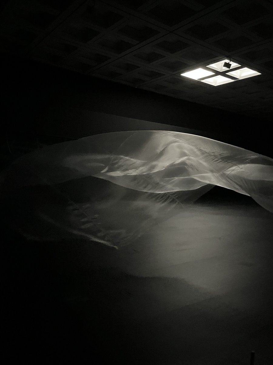 ずっと見ていたい

#国立新美術館 
#ShinjiOhmaki 
#大巻伸嗣   #InterfaceofBeing   #真空のゆらぎ 
#11月に行ったところ