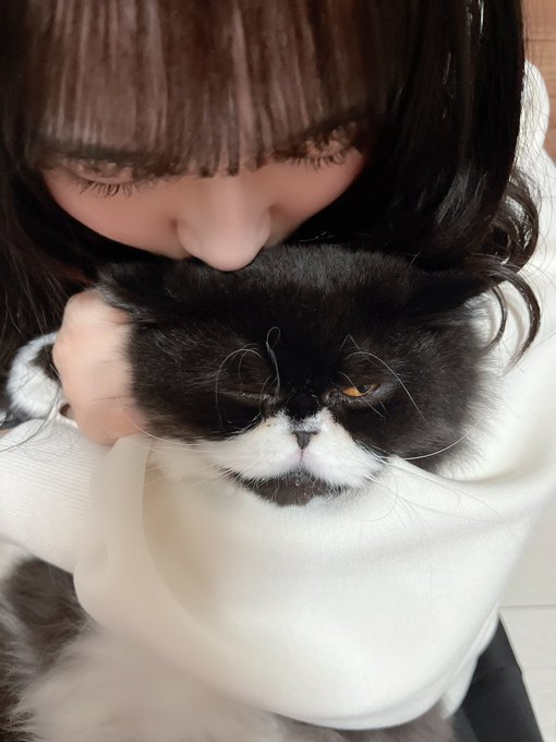 今村麻莉愛のTwitter画像36