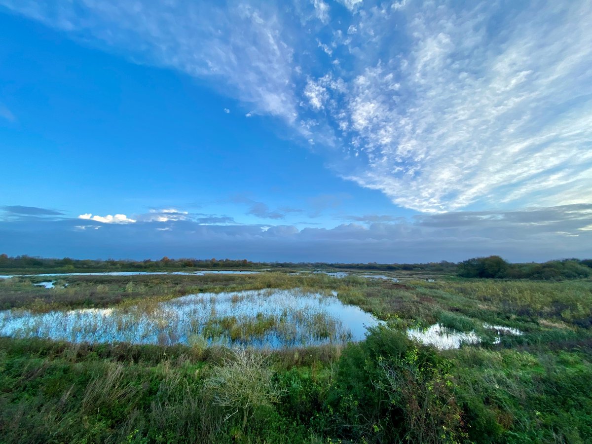 dsbowman123's tweet photo. Yesterday's WeBS at Woolston Eyes turned up a Water Pipit, while highlights of the 4,394 wetland birds were: 1 Woodcock, 6 Jack Snipe, 2,000 Pink-footed Geese, 3 Kingfishers, 8 Water Rails, 92 Shovelers, 399 Tufted Ducks, 153 Gadwall, 118 Mallard, 5 Wigeon and 195 Coot. https://t.co/CFf67YBM15