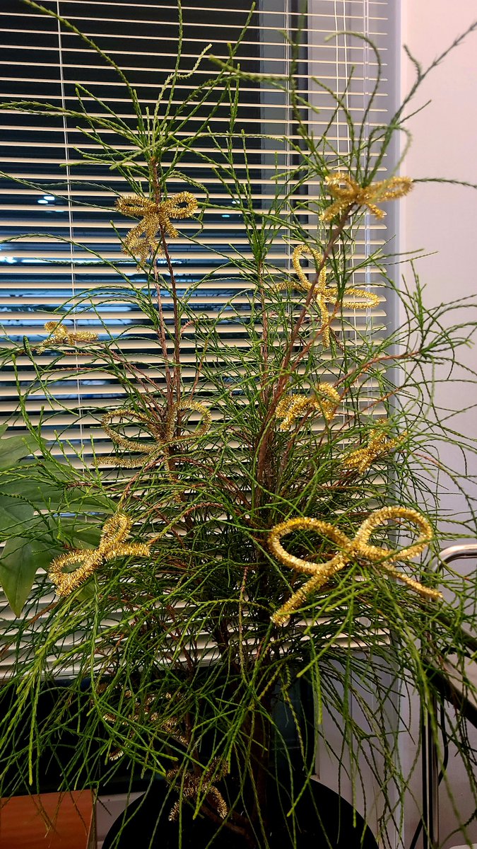 식계모임을 핑계로 도비들을 모아 크리스마스 무드를 완성하였다 후후후후후

#마큘트리 #귀여운아라우카리아 #뉴비프랭키