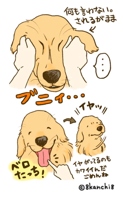 ゴルフェイスの遊び方、追加です🙋🐾

#ゴールデンレトリバー
#犬のイラスト 