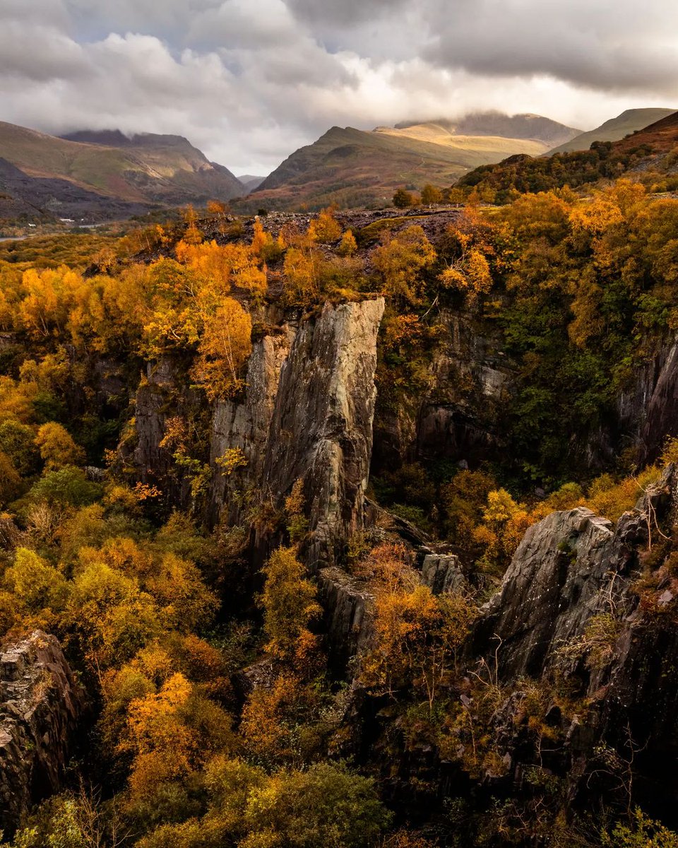 Amazing autumn colours in North Wales 🍁 📸 By @joshmatthewsss 📍 Parc Cenedlaethol Eryri - Eryri National Park