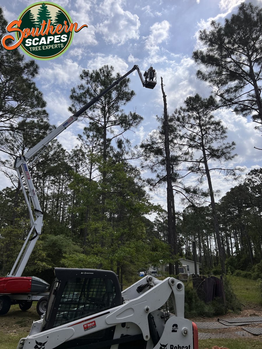 ScapesTree's tweet image. 🌳🏡 Your trees, our expertise! ⚙️💚 Southern Scapes Tree Experts offers professional tree trimming and pruning services. Our team of skilled climbers and certified operators leaves no branch unattended.  #ExpertTreeTrimming #SouthernScapesTreeExperts s2tree.com/services/pruni…