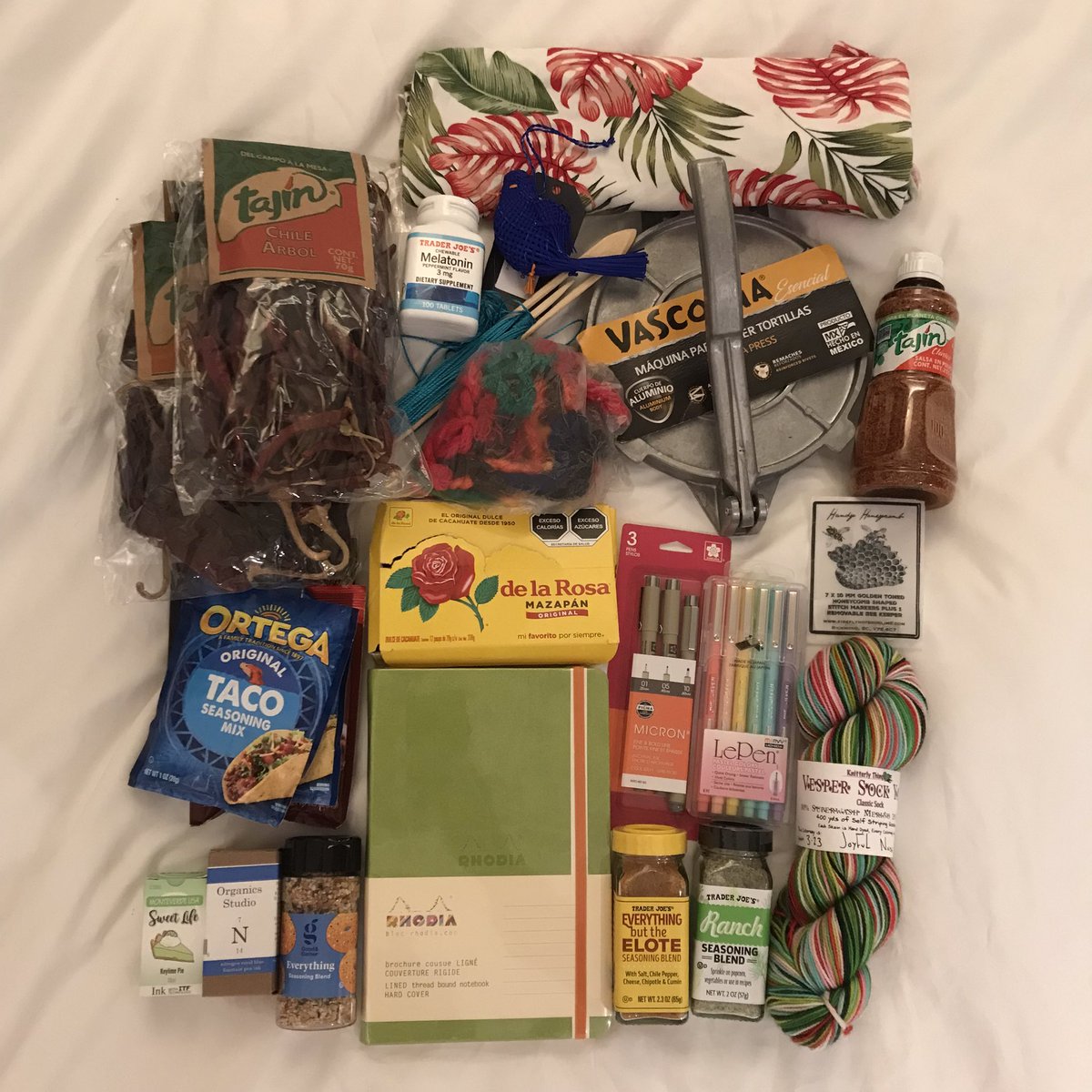 Kat 🦁 tweet media