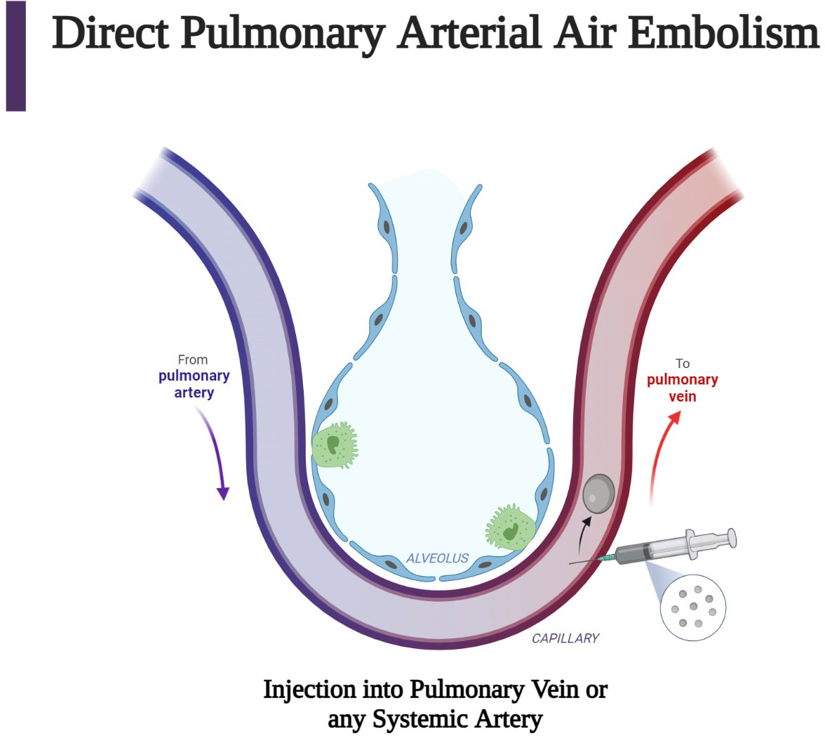 #2023 #Review on Iatrogenic air embolism: pathoanatomy, thromboinflammation, endotheliopathy, and therapies
frontiersin.org/articles/10.33…
#CardioEd #CardioTwitter #Cardiology