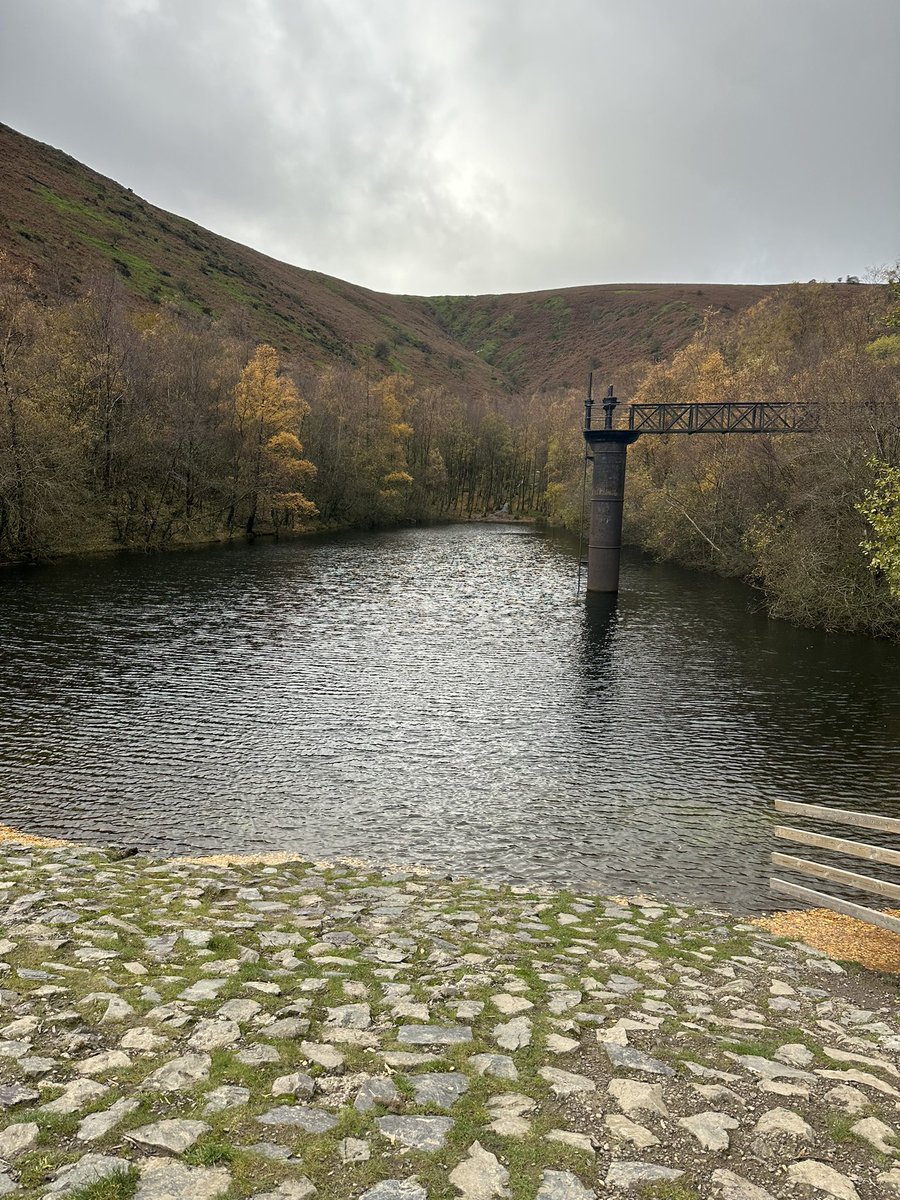 Kath preece tweet media