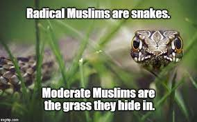 ImtiazMadmood's tweet photo. Every Muslim wants to destroy Israel and every true Muslim wants to kill Jews. 

There's an Egyptian saying, “First the Saturday people and then the Sunday people.” It means Muslims deal with the Jews, then the Christians.

The so-called “moderate” Muslims don’t have a theological leg to stand on. Islam is not moderate.

They differ only in the methods used to achieve those ends. There are a small number who not only do not support the Islamic hyenas but have often risked their lives by speaking out.

They’re a tiny fraction of a metastasizing gene pool that’s spread far too wide to be considered benign to civilization.

Freedoms like freedom of speech are a good thing among civilized people. 

When a group that worships hate uses freedoms to propagate hate and supports killing and will not change, then these people need to be ejected from freedom-loving countries. 

Even the so-called moderate Muslims will give money and support to the radicals who kill Jews and Christians; their religion requires this from them. And when push comes to shove the moderate Muslims will kill Jews and Christians too. 

There is no such thing as “moderate Islam,” 

President Erdogan of Turkey, who is a neo-Ottoman and practicing Sunni Muslim, said that such statements about “moderate” Islam were an offence to Muslims; he went on to say that “Islam is Islam and that’s it!”
