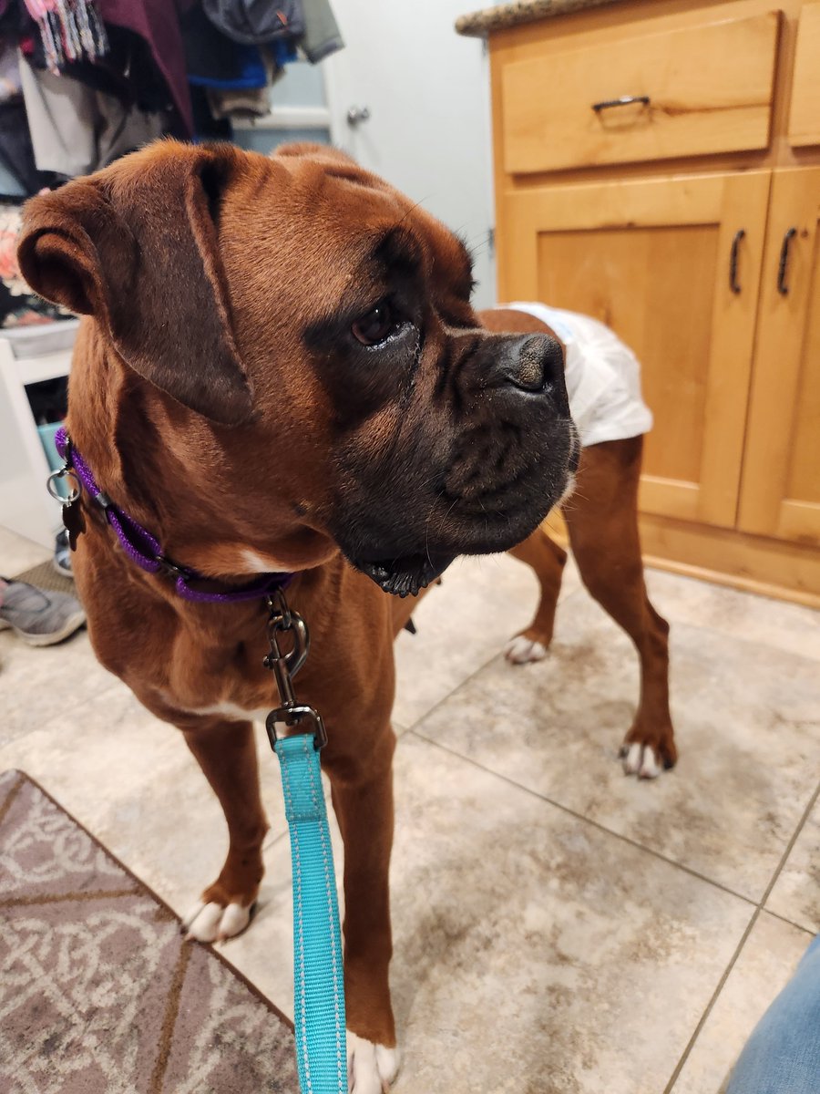 Rachel H tweet media