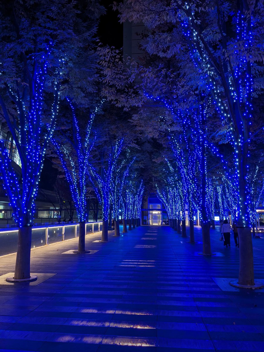 Kaze0614tameiki's tweet image. 今日のさいたまスーパーアリーナ
まだ最高人数動員の記録を作ったLAATから10か月しか経っていないのにずいぶん昔のよう(⁠ ⁠ꈍ⁠ᴗ⁠ꈍ⁠)
けやきひろばのライトアップ始まってました✨
#たまアリ
#LAAT
#通り過ぎただけ