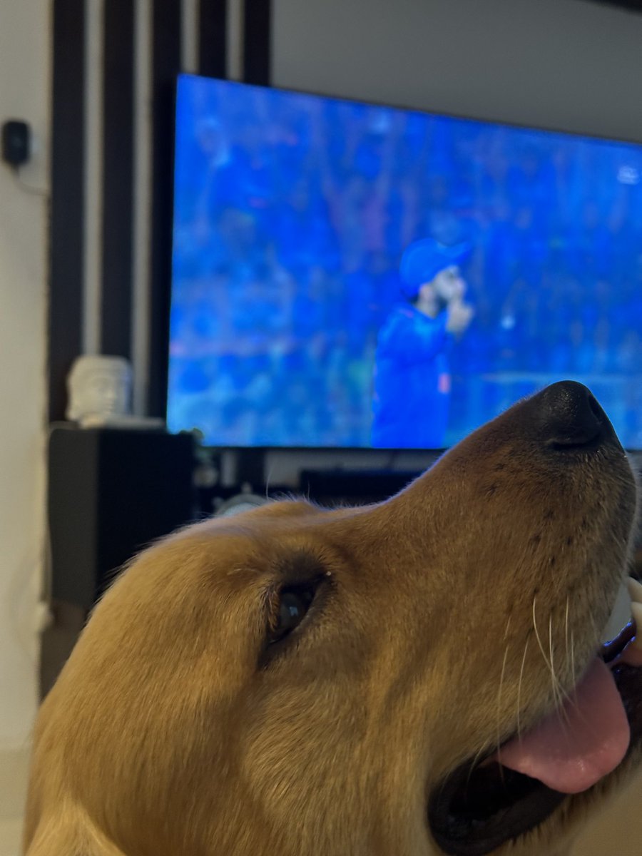 Coco celebrating the first wicket ❤️