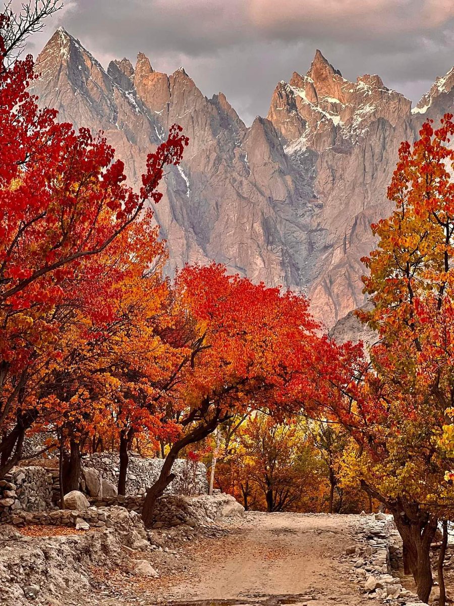 Hadi cones Machulo Valley Ghanche Gilgit Baltistan 💞💖