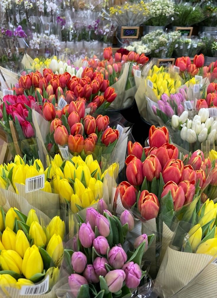 Flowers are symbols of life, and their beauty and fragility are breathtaking.