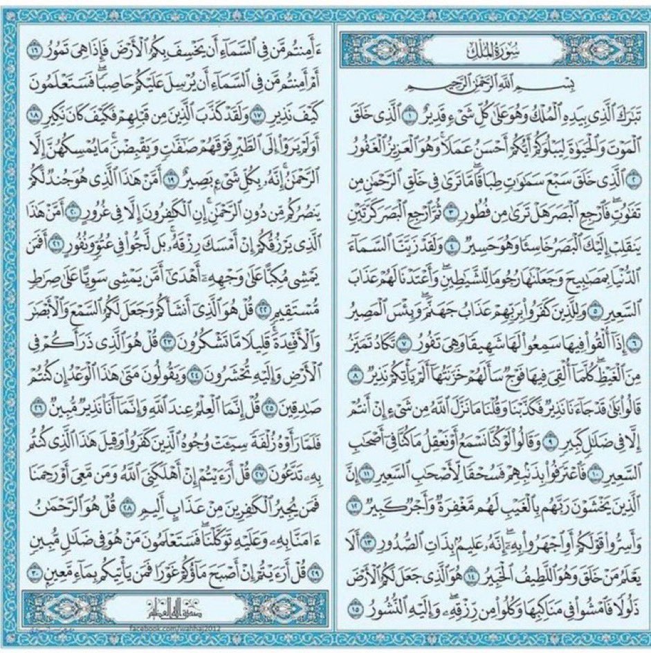 e_____tr's tweet image. سورة الملك لن تأخذ من الوقت دقيقة ونصف ، تنجيك من عذاب القبر بإذن الله …🤍☘️