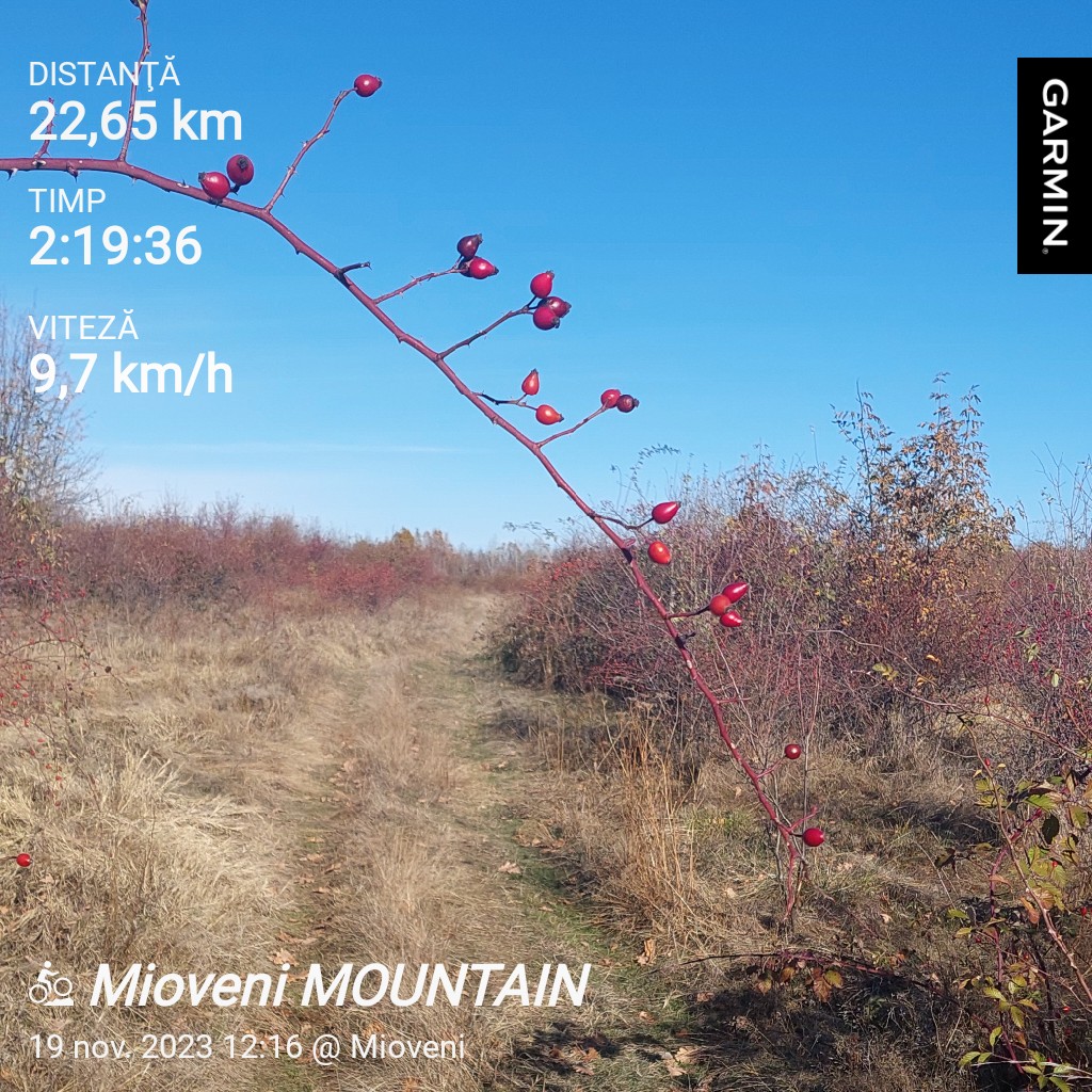 ristea_ion's tweet photo. #garmin #beatyesterday https://t.co/D1CSR8yUXj