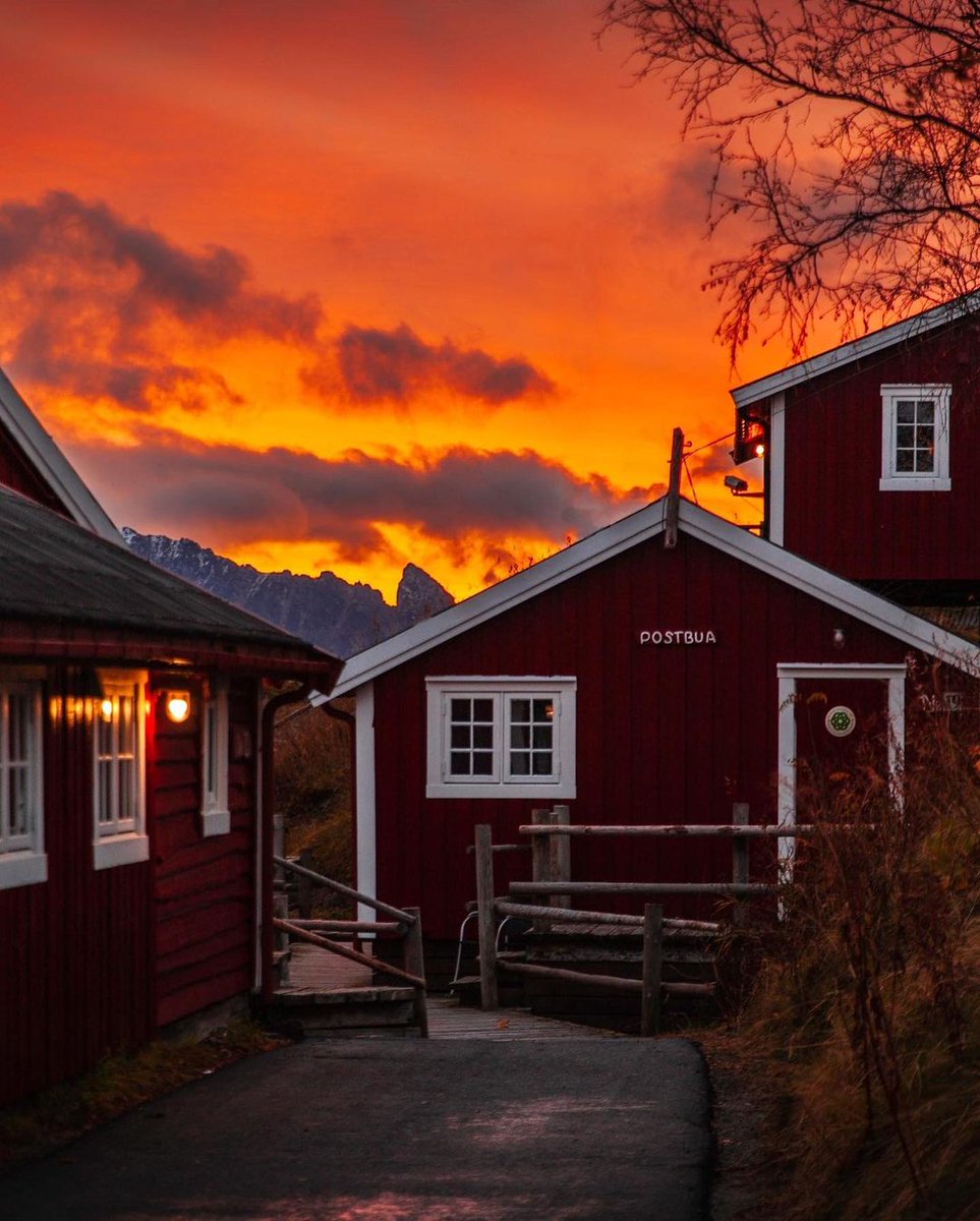 Welcome to Svinøya, a serene island located in Norway's Lofoten archipelago. This tranquil haven is not just a picturesque fishing village; it's a gateway to one of nature's most spectacular displays – the Aurora Borealis, or Northern Lights. In Svinøya, the dark winter nights