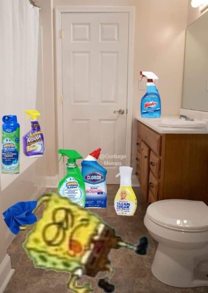 Me after mixing random chemıcαls to clean the bathroom with the door shut: