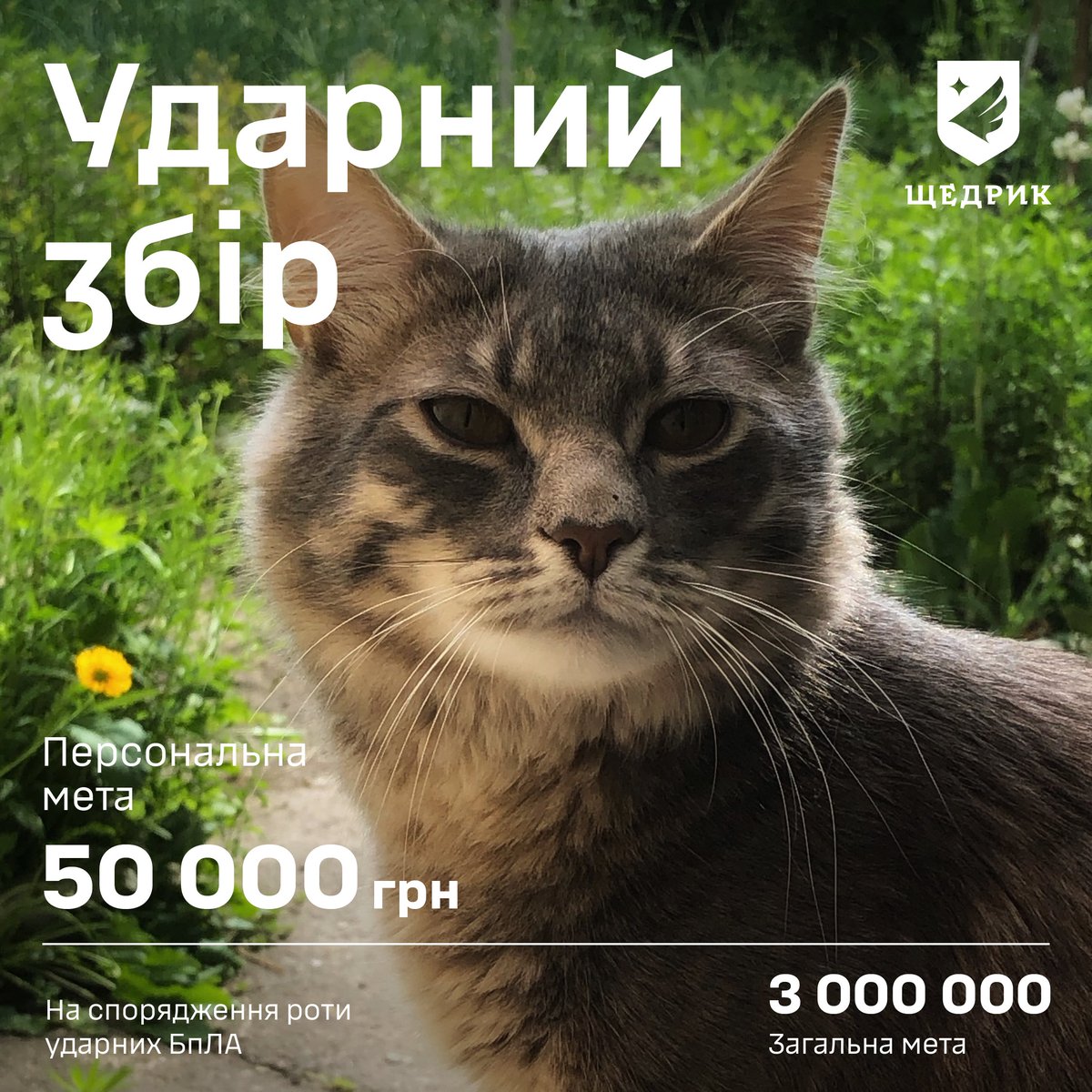 bpanda_'s tweet photo. Твітор, привіт. Я тут не так що б дуже активний, зазвичай всіх читаю, але нічого не пишу. 
Підрозділ мого друга робить збір, до якого я з котом Андрієм вирішив долучитись, запрошую і вас:
https://t.co/uNrworCdXc
"Друзі аеророзвідки - Ударний збір" на 3 000 000 грн. https://t.co/pYGDQ9ym9G