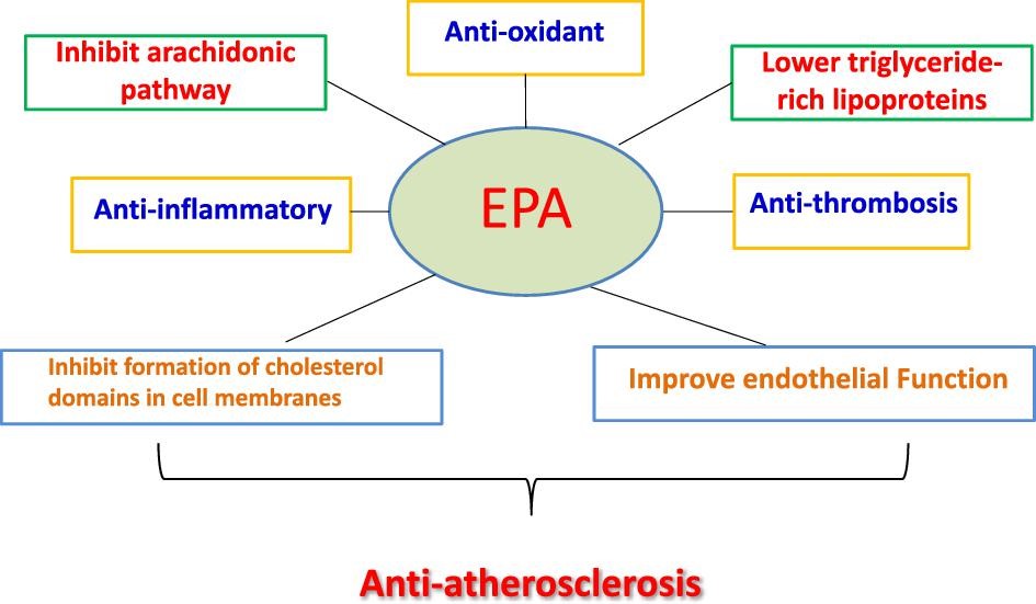 ZHeart11768530's tweet photo. Triglycerides revisited: is hypertriglyceridaemia a necessary therapeutic target in CV disease? @ESC_Journals
https://t.co/3G8clRP2Yj
#Cardiology #CardioEd #CardioTwitter https://t.co/h932cmHP0u
