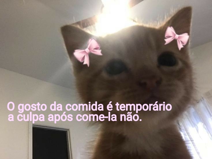 melokcal's tweet photo. voce nunca vai se arrepender de nao ter comido ! https://t.co/cA1Lp4SjLu