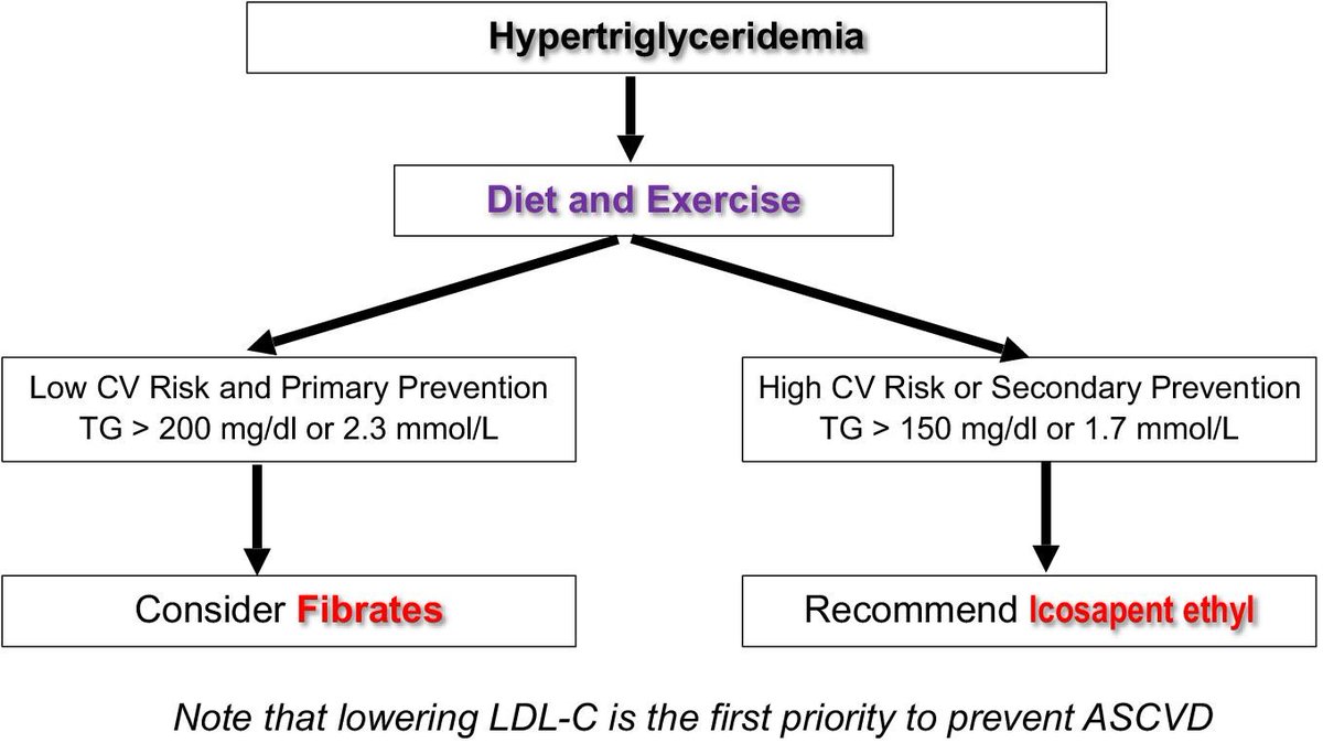 ZHeart11768530's tweet photo. Triglycerides revisited: is hypertriglyceridaemia a necessary therapeutic target in CV disease? @ESC_Journals
https://t.co/3G8clRP2Yj
#Cardiology #CardioEd #CardioTwitter https://t.co/h932cmHP0u