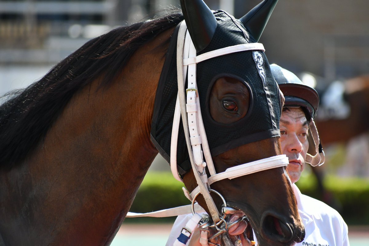 masaka_Photo's tweet photo. 【固定用】
ゆる～く写真を上げるアカウントです。
のんびり自由に好きなものを撮っていきます。 https://t.co/s898NVci2q
