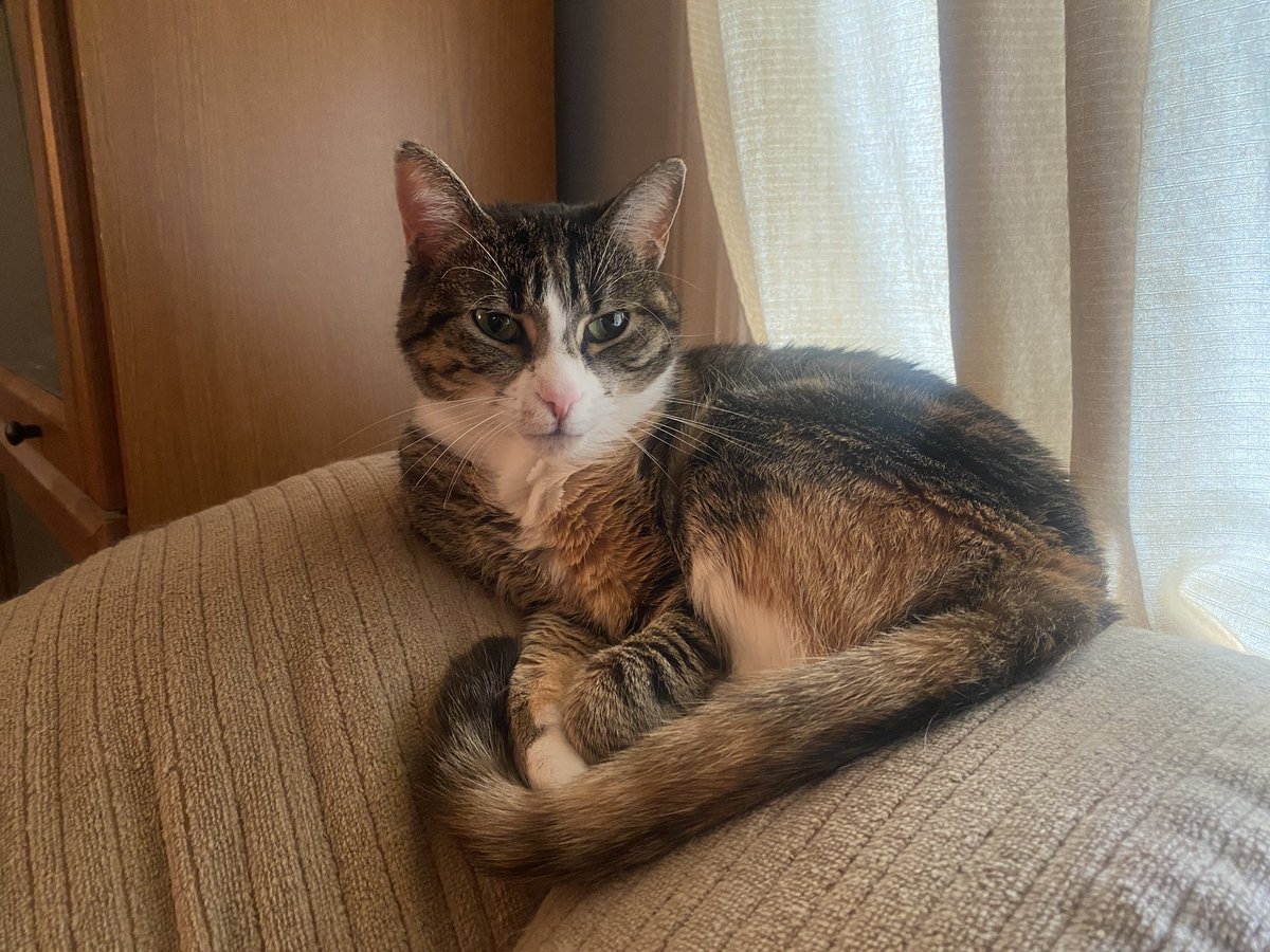 Elizabeth (Beth) Taylor tweet media