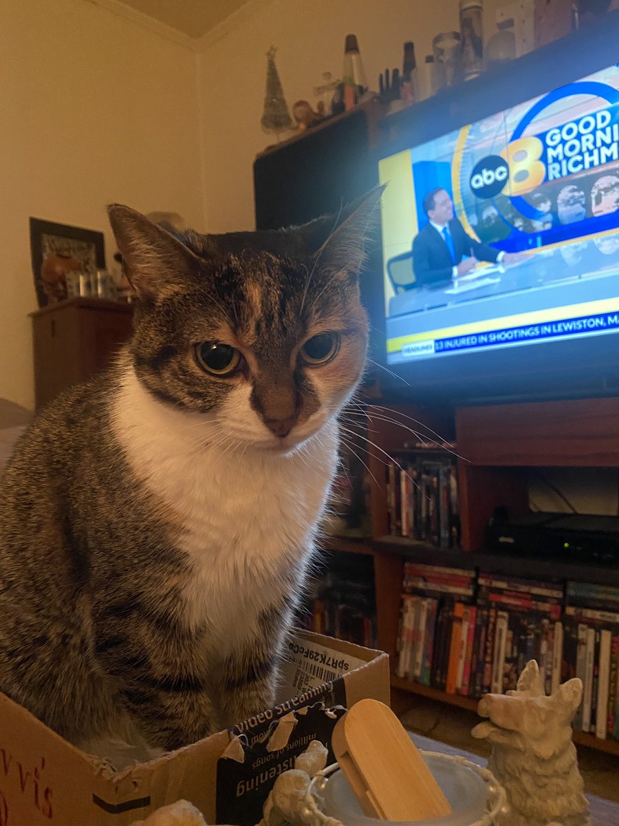 Elizabeth (Beth) Taylor tweet media